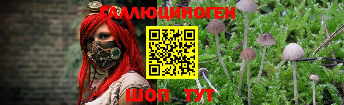 Псилоцибиновые грибы Psilocybine cubensis  Вход с VPN  Донецк 
